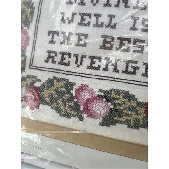 Columbia Minerva Cross Stitch Kit LIVING WELL best revenge #6782 Pink Green 1978 - Picture 3 of 7